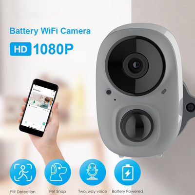 900MHz Home Security Camera System Wireless With Human Contour Detection